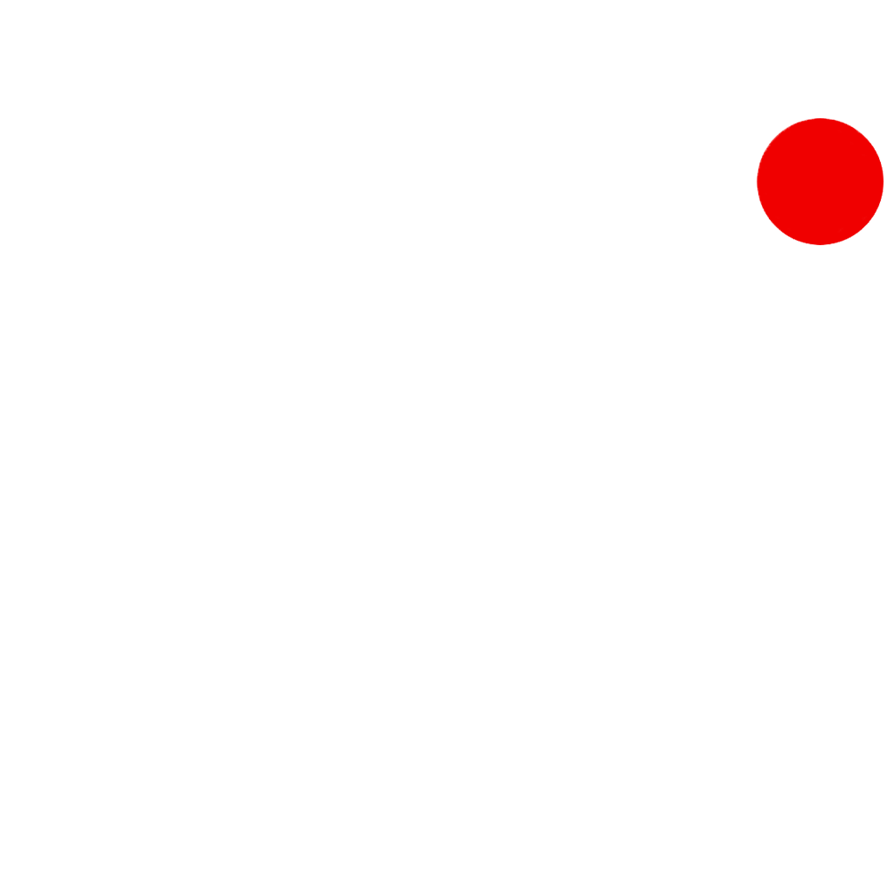 RG Vision