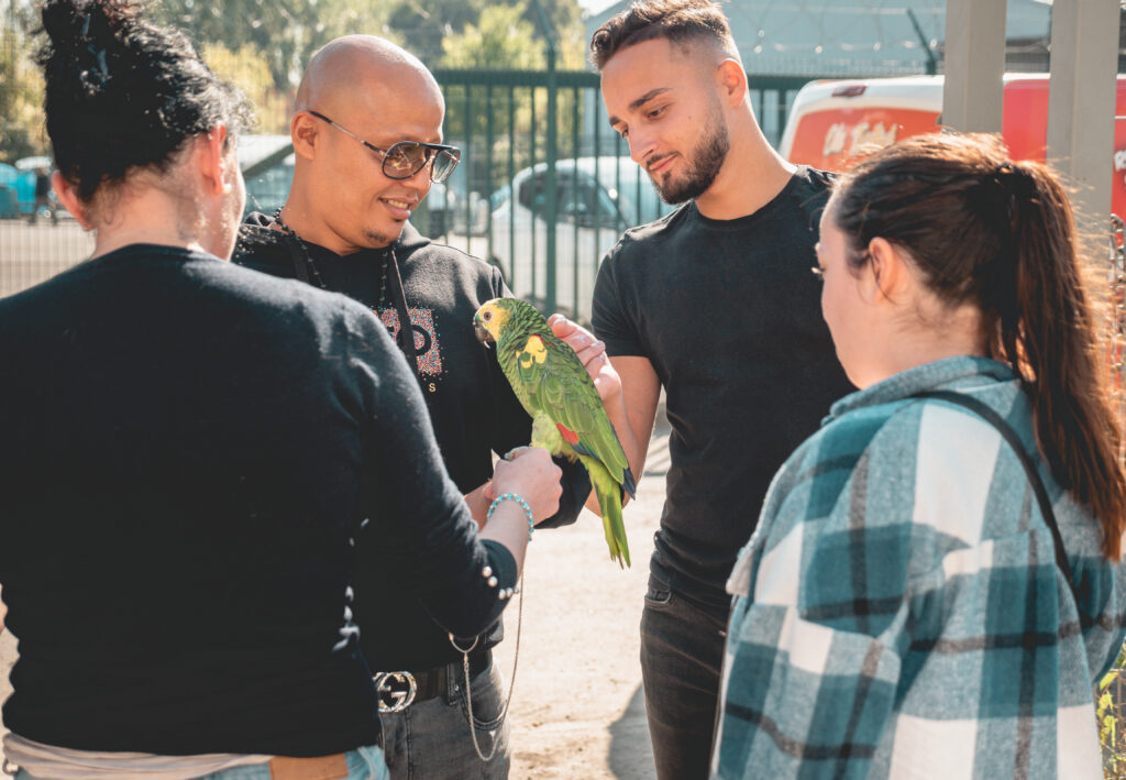 photographe animalier